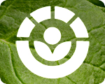 FDA Unleashes Mass Irradiation of Spinach, Lettuce and Other Vegetables